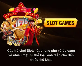 Email Hỗ Trợ